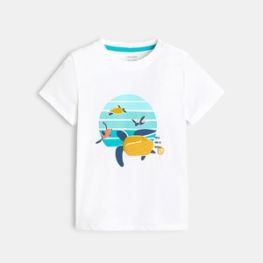 T-shirt tortues blanc bébé garçon