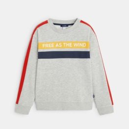 Sweat-shirt à message "Free as the wind" gris garçon
